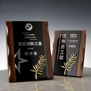 客製化商品推薦 - tmp 水晶獎座禮品 客製 - tmp 水晶獎座禮品 24893_Plaque_1
